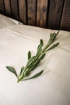 Finshing touches with lavender on your pillow to induce a great night&#39;s sleep