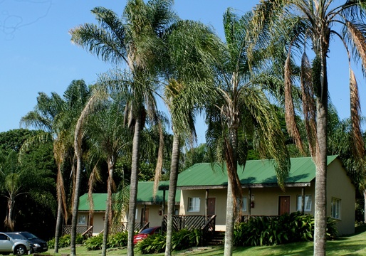 Three units with 2 en-suite rooms each overlooking banana farms